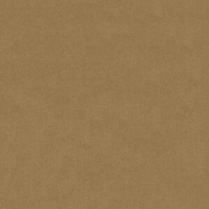 Philadelphia Commercial Carpet Emphatic Ii 30 Honeywheat 56243_54255