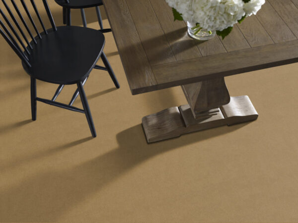 Philadelphia Commercial Carpet Emphatic Ii 30 Honeywheat 56243_54255 - Image 2