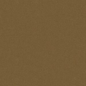 Philadelphia Commercial Carpet Emphatic Ii 30 Cajun 56250_54255