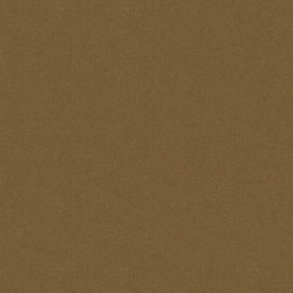 Philadelphia Commercial Carpet Emphatic Ii 30 Cajun 56250_54255