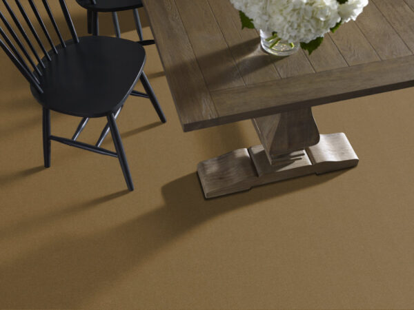 Philadelphia Commercial Carpet Emphatic Ii 30 Cajun 56250_54255 - Image 2
