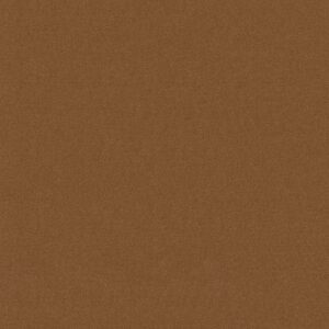 Philadelphia Commercial Carpet Emphatic Ii 30 Canyon Rim 56291_54255