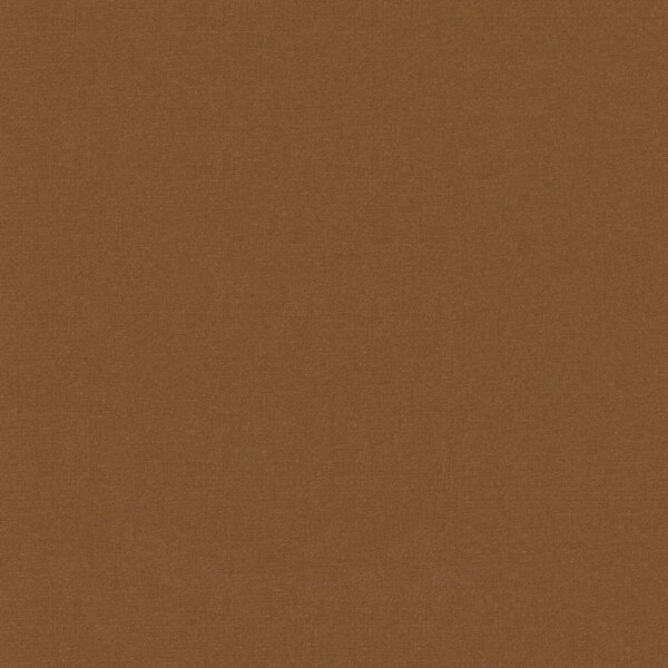 Philadelphia Commercial Carpet Emphatic Ii 30 Canyon Rim 56291_54255