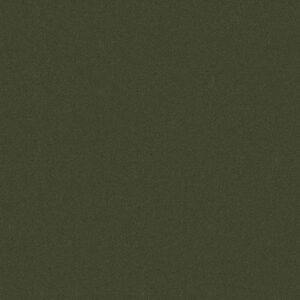 Philadelphia Commercial Carpet Emphatic Ii 30 Thyme 56314_54255