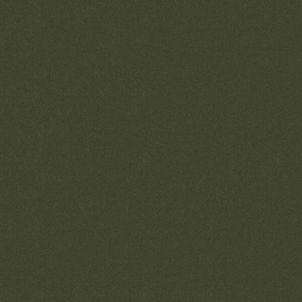 Philadelphia Commercial Carpet Emphatic Ii 30 Thyme 56314_54255