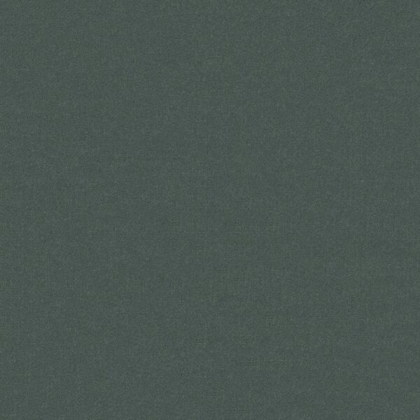 Philadelphia Commercial Carpet Emphatic Ii 30 Sea Foam 56315_54255