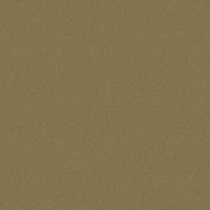 Philadelphia Commercial Carpet Emphatic Ii 30 Tea Green 56321_54255