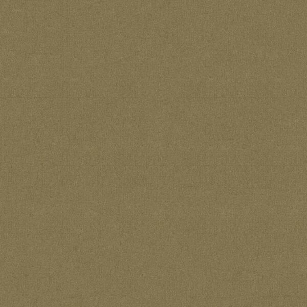 Philadelphia Commercial Carpet Emphatic Ii 30 Tea Green 56321_54255