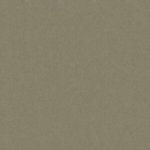 Philadelphia Commercial Carpet Emphatic Ii 30 Dew Green 56322_54255