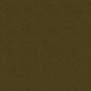 Philadelphia Commercial Carpet Emphatic Ii 30 Venetian Green 56324_54255