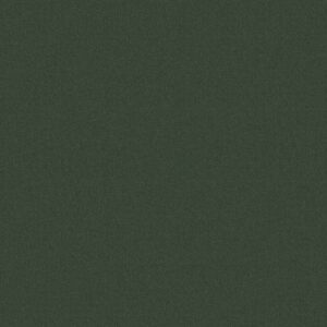 Philadelphia Commercial Carpet Emphatic Ii 30 Hedge 56340_54255