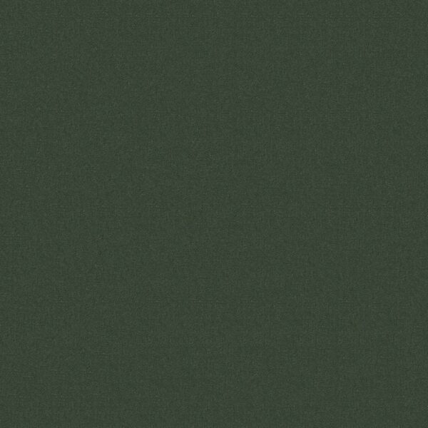 Philadelphia Commercial Carpet Emphatic Ii 30 Hedge 56340_54255