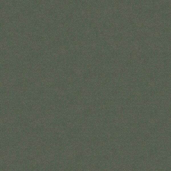 Philadelphia Commercial Carpet Emphatic Ii 30 Dried Sage 56341_54255