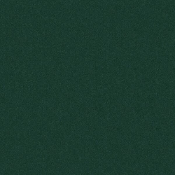 Philadelphia Commercial Carpet Emphatic Ii 30 Capri 56343_54255