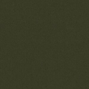 Philadelphia Commercial Carpet Emphatic Ii 30 Artichoke 56350_54255