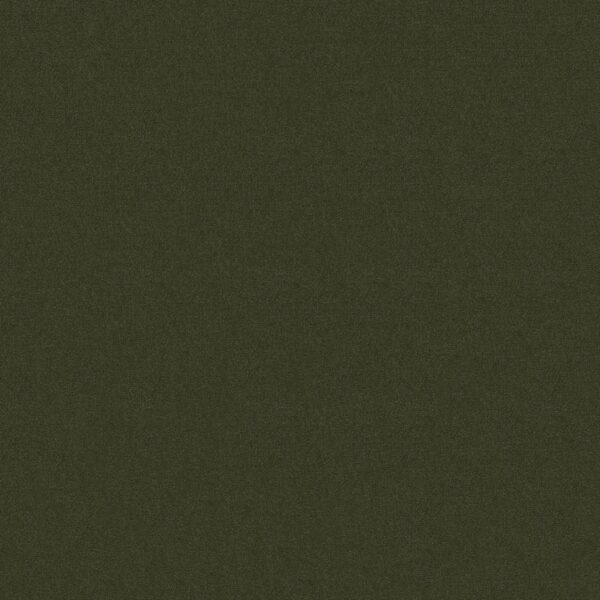 Philadelphia Commercial Carpet Emphatic Ii 30 Artichoke 56350_54255