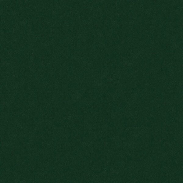 Philadelphia Commercial Carpet Emphatic Ii 30 Mountain Pine 56366_54255