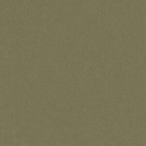 Philadelphia Commercial Carpet Emphatic Ii 30 Island Green 56370_54255