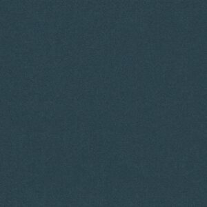 Philadelphia Commercial Carpet Emphatic Ii 30 Moonshadow 56462_54255