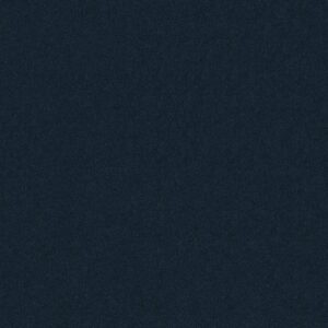 Philadelphia Commercial Carpet Emphatic Ii 30 Black Sapphire 56465_54255