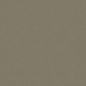 Philadelphia Commercial Carpet Emphatic Ii 30 Gray Hare 56510_54255