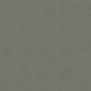 Philadelphia Commercial Carpet Emphatic Ii 30 Highland Gray 56543_54255