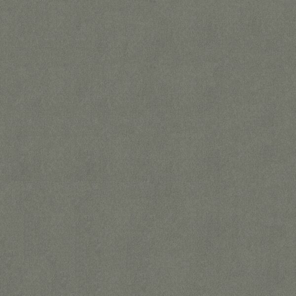 Philadelphia Commercial Carpet Emphatic Ii 30 Highland Gray 56543_54255