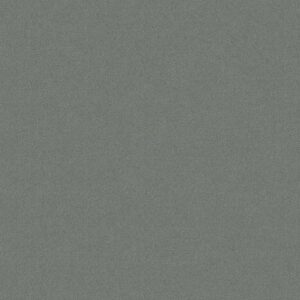 Philadelphia Commercial Carpet Emphatic Ii 30 Platinum 56544_54255