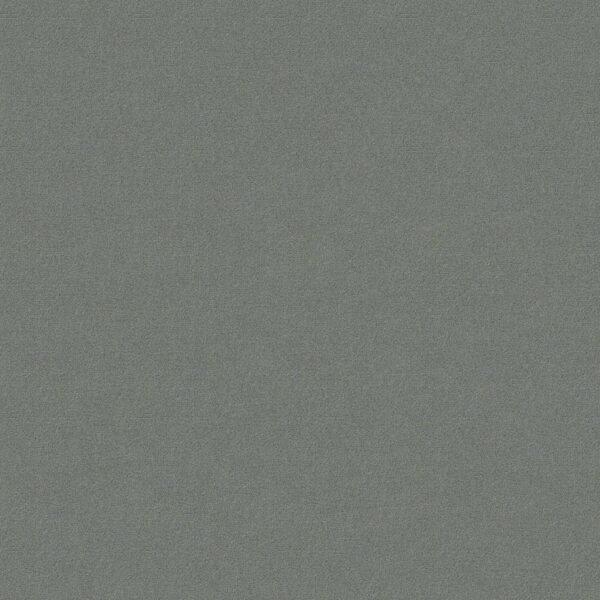 Philadelphia Commercial Carpet Emphatic Ii 30 Platinum 56544_54255