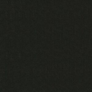 Philadelphia Commercial Carpet Emphatic Ii 30 Coal Mine 56545_54255