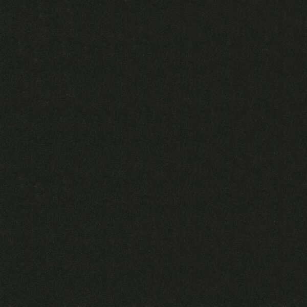 Philadelphia Commercial Carpet Emphatic Ii 30 Coal Mine 56545_54255