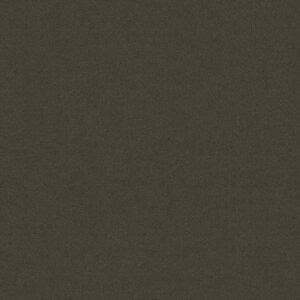 Philadelphia Commercial Carpet Emphatic Ii 30 Sandy Taupe 56595_54255