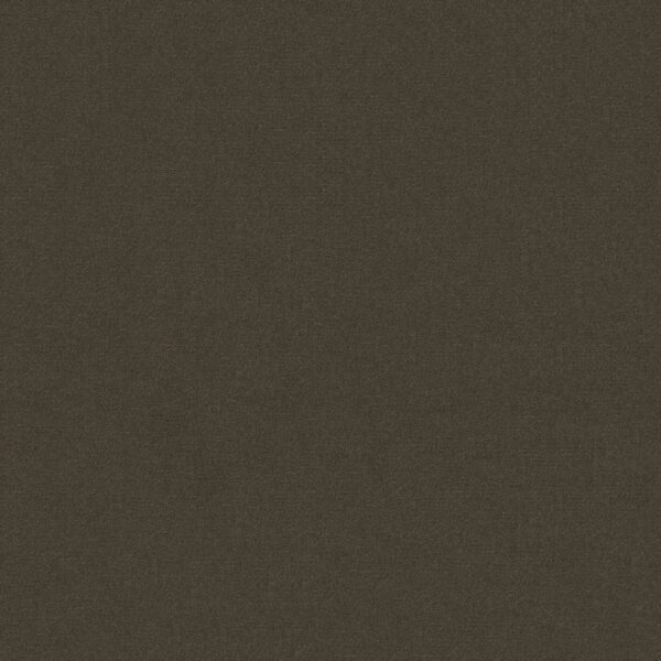 Philadelphia Commercial Carpet Emphatic Ii 30 Sandy Taupe 56595_54255