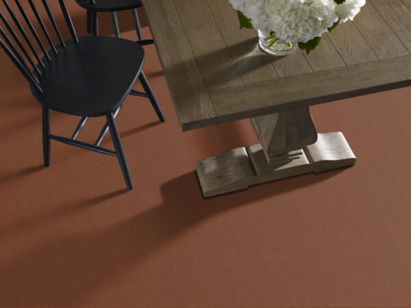 Philadelphia Commercial Carpet Emphatic Ii 30 Sundance 56620_54255 - Image 2