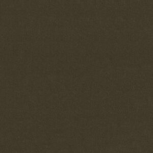 Philadelphia Commercial Carpet Emphatic Ii 30 Brocade 56710_54255