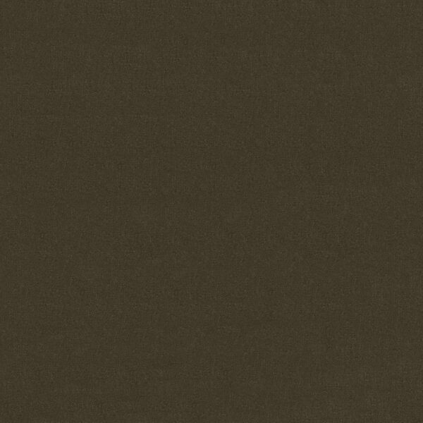 Philadelphia Commercial Carpet Emphatic Ii 30 Brocade 56710_54255