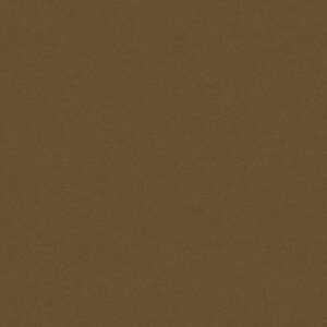Philadelphia Commercial Carpet Emphatic Ii 30 Sugar Maple 56713_54255