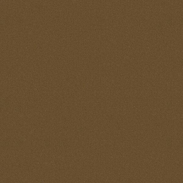 Philadelphia Commercial Carpet Emphatic Ii 30 Sugar Maple 56713_54255