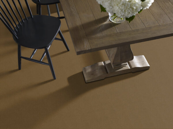 Philadelphia Commercial Carpet Emphatic Ii 30 Sugar Maple 56713_54255 - Image 2