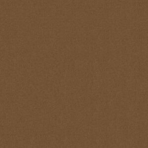 Philadelphia Commercial Carpet Emphatic Ii 30 Camelback 56721_54255