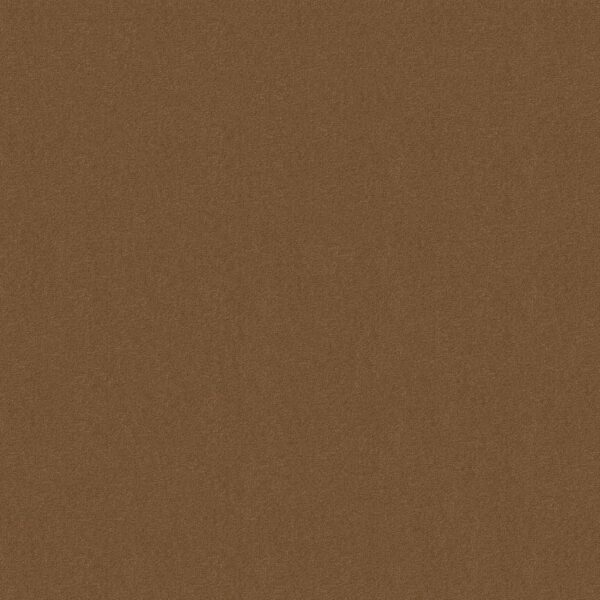 Philadelphia Commercial Carpet Emphatic Ii 30 Camelback 56721_54255