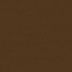 Philadelphia Commercial Carpet Emphatic Ii 30 Cinnamon Sugar 56722_54255