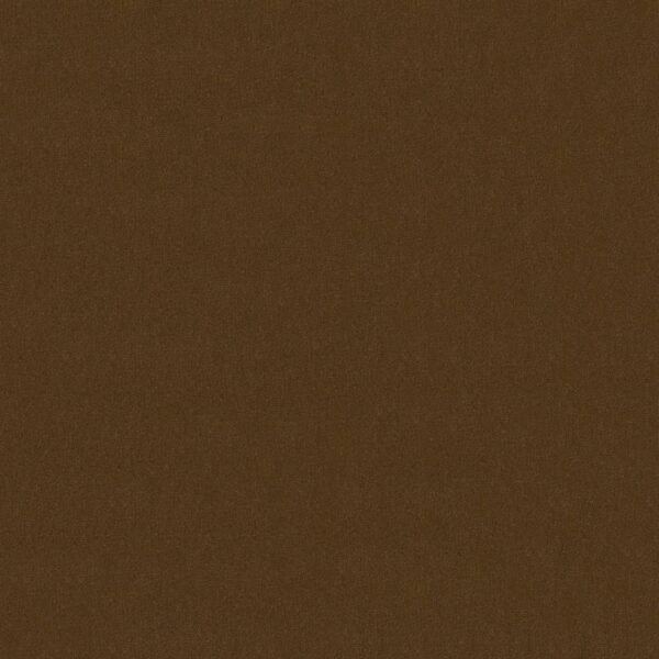 Philadelphia Commercial Carpet Emphatic Ii 30 Cinnamon Sugar 56722_54255
