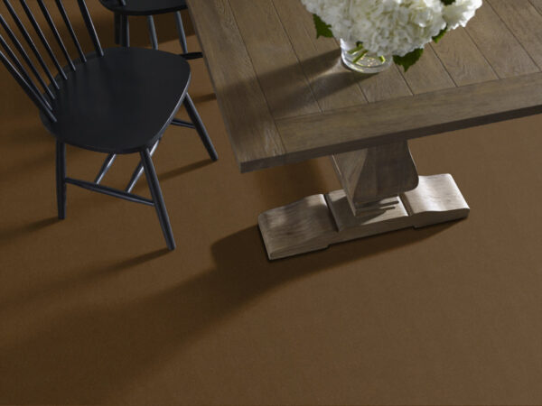 Philadelphia Commercial Carpet Emphatic Ii 30 Cinnamon Sugar 56722_54255 - Image 2