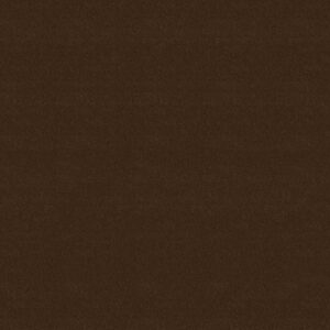 Philadelphia Commercial Carpet Emphatic Ii 30 Hazelnut 56724_54255