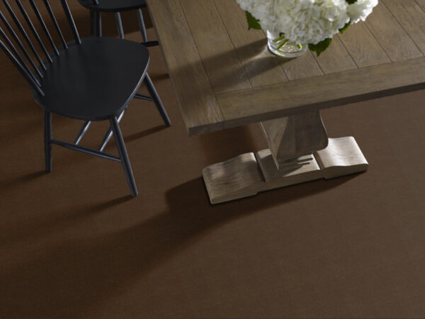 Philadelphia Commercial Carpet Emphatic Ii 30 Hazelnut 56724_54255 - Image 2