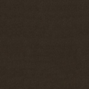 Philadelphia Commercial Carpet Emphatic Ii 30 Coffee Bean 56731_54255