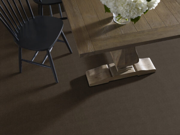 Philadelphia Commercial Carpet Emphatic Ii 30 Coffee Bean 56731_54255 - Image 2