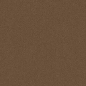 Philadelphia Commercial Carpet Emphatic Ii 30 Koala 56741_54255
