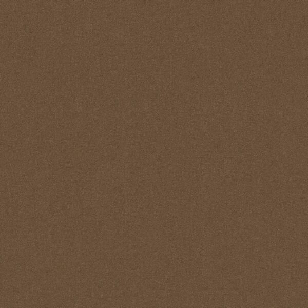 Philadelphia Commercial Carpet Emphatic Ii 30 Koala 56741_54255